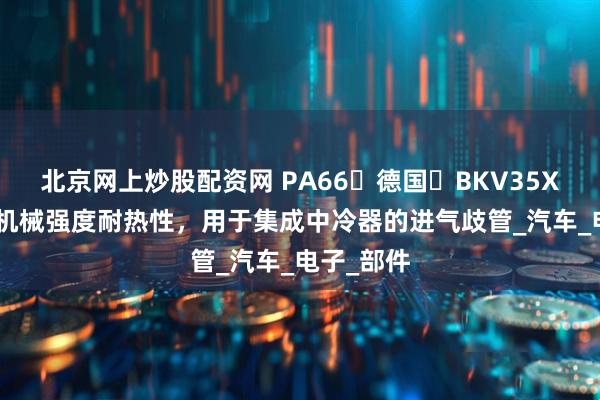 北京网上炒股配资网 PA66‌德国‌BKV35XTS2‌高机械强度耐热性，用于集成中冷器的进气歧管_汽车_电子_部件