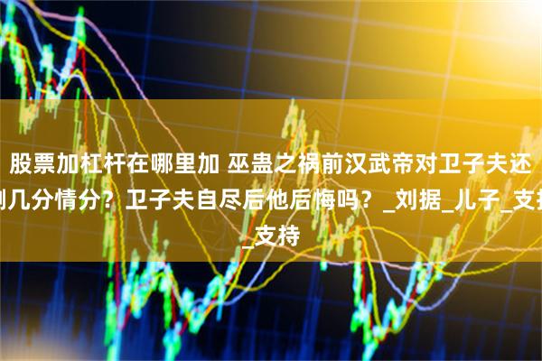 股票加杠杆在哪里加 巫蛊之祸前汉武帝对卫子夫还剩几分情分？卫子夫自尽后他后悔吗？_刘据_儿子_支持