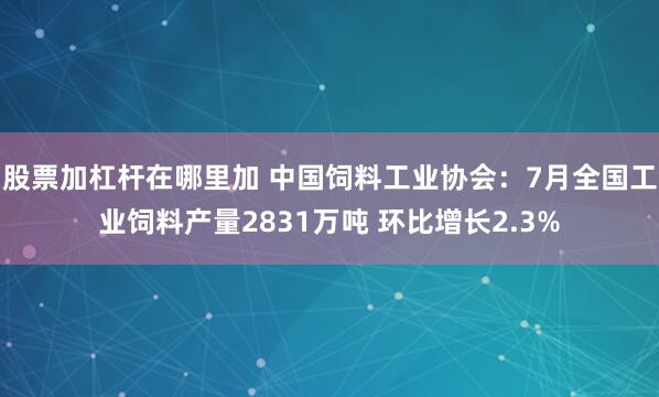 股票加杠杆在哪里加 中国饲料工业协会：7月全国工业饲料产量2831万吨 环比增长2.3%