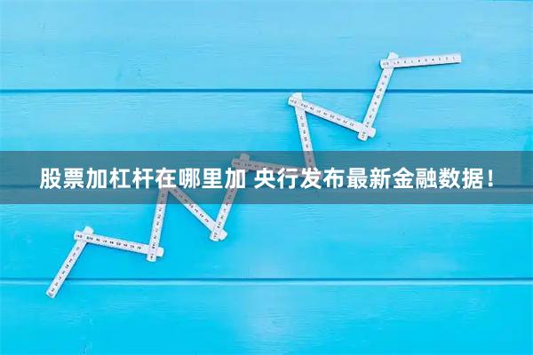 股票加杠杆在哪里加 央行发布最新金融数据！